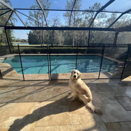 Pet safety fence