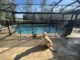 Pet safety fence