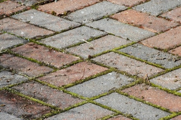 Brick Paver Maintenance image