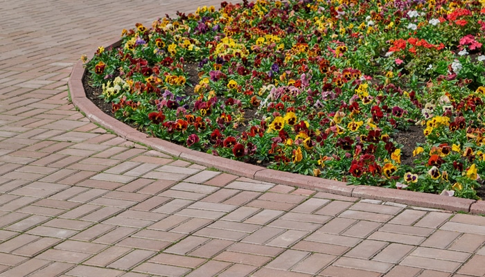 brick paver edging 