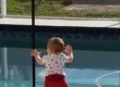 professional pool fence installation matters
