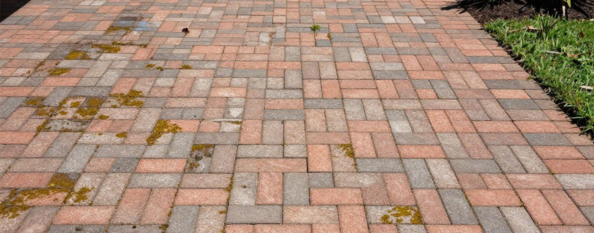 brick restoration of mold and weeds