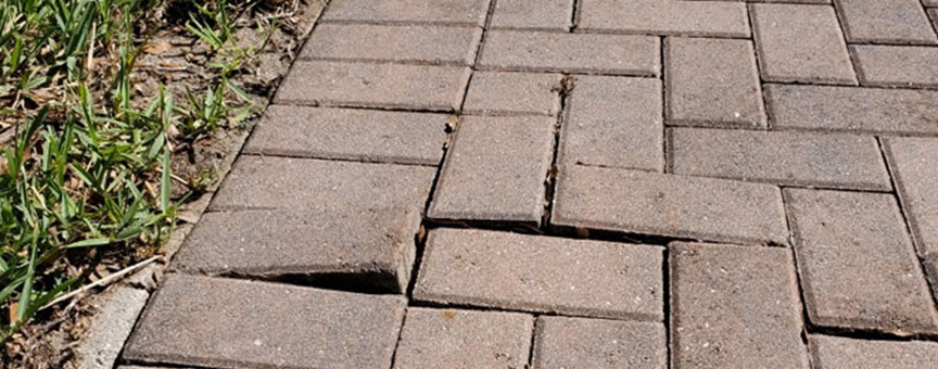 Sinking Brick Pavers roots in bricks